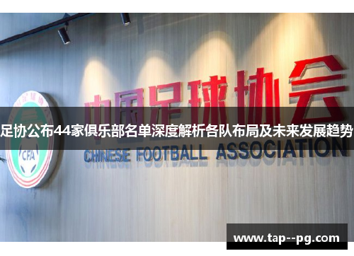 足协公布44家俱乐部名单深度解析各队布局及未来发展趋势