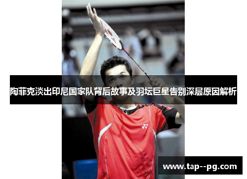 陶菲克淡出印尼国家队背后故事及羽坛巨星告别深层原因解析